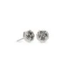 Nola Silver Stud Earrings In Platinum Drusy