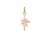 North Star Charm In Rose Gold -Kendra Scott Jewelry Store kendra scott north star charm rose gold 00 lg
