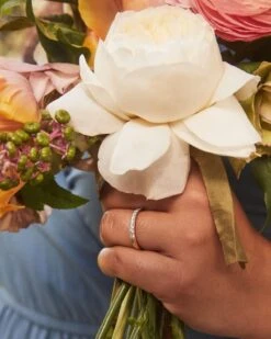 Raleigh 14k Yellow Gold Band Ring In White Diamond 8 Raleigh 14k Yellow Gold Band Ring In White Diamond -Kendra Scott Jewelry Store kendra scott raleigh band ring 14k yellow gold white diamond 1